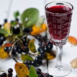 Рецепт Настойки на черноплодной рябине