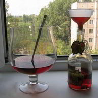 Рецепт Настойки на калгане