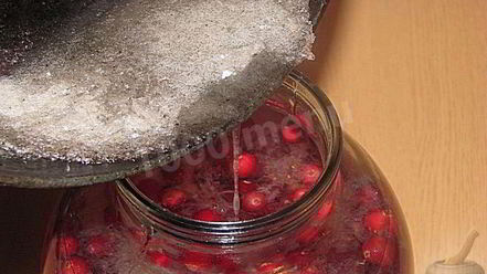 Рецепт настойки на северной клюкве