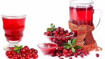 Рецепт настойки на северной клюкве