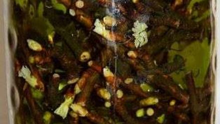 Рецепт настойки на смородиновых почках