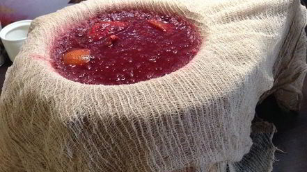 Рецепт настойки несмеяновка женская