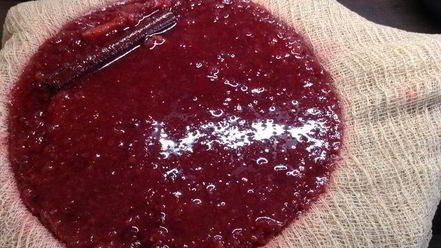 Рецепт настойки несмеяновка женская