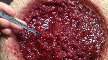 Рецепт настойки несмеяновка женская