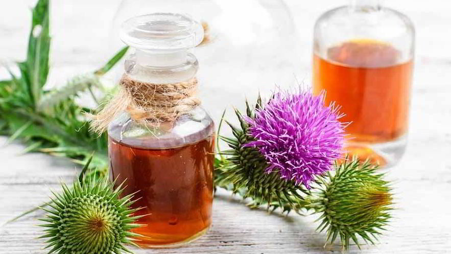 Рецепт настойки расторопши