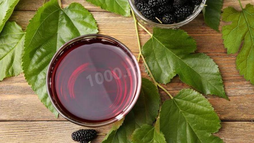 Рецепт настойки шелковицы