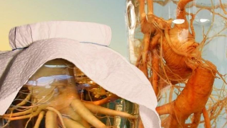 Рецепт настойки женьшеня