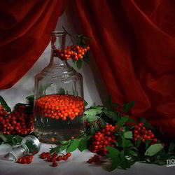 Рецепт Рябиновой настойки на водке