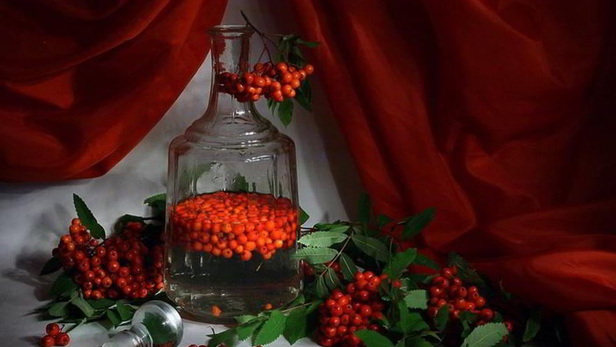 Рецепт рябиновой настойки на водке