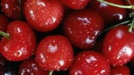 Рецепт вишневой настойки