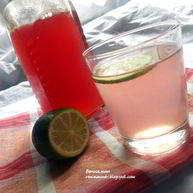 Рецепт Ревеневого сиропа