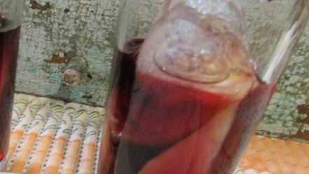 Рецепт газированной сангрии с минералкой