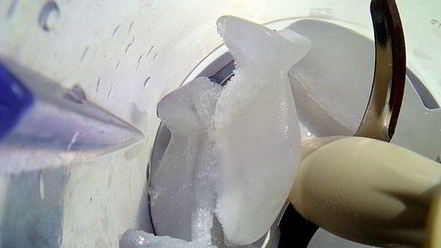 Рецепт коктейля antiсангрия