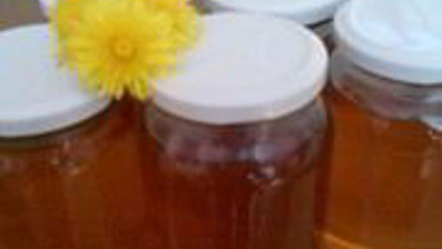 Рецепт сиропа из одуванчиков