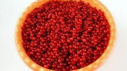 Рецепт сиропа из смородины на зиму