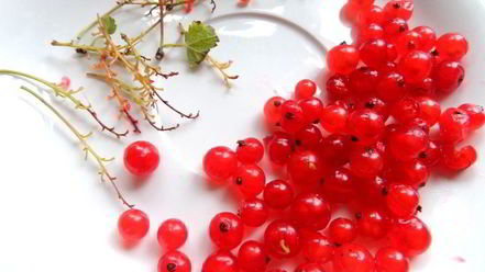 Рецепт смородинового смузи