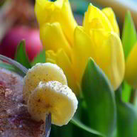 Рецепт Смузей с бананом и малиной