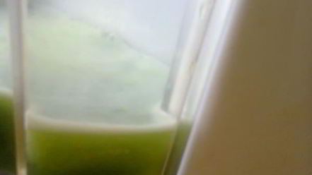 Рецепт овощного сока зеленого