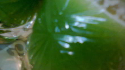 Рецепт овощного сока зеленого