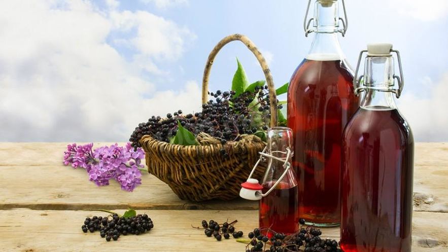 Рецепт сока черной бузины