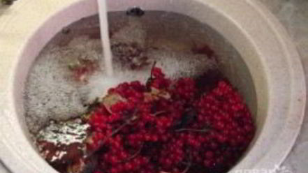 Рецепт сока из калины