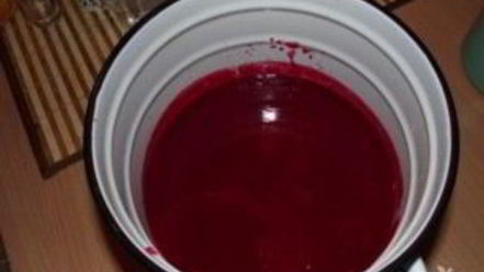 Рецепт сока из калины