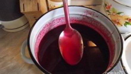 Рецепт сока из калины