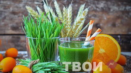 Рецепт сока из ростков пшеницы