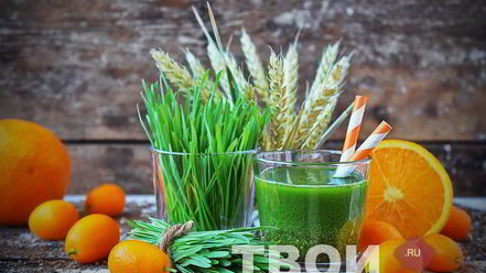 Рецепт сока из ростков пшеницы