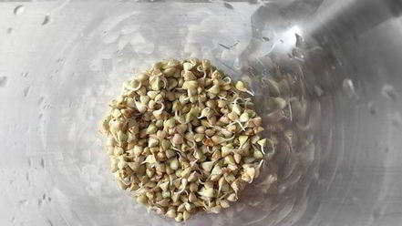 Рецепт томатного сока с зеленой гречкой, сельдереем и сметаной