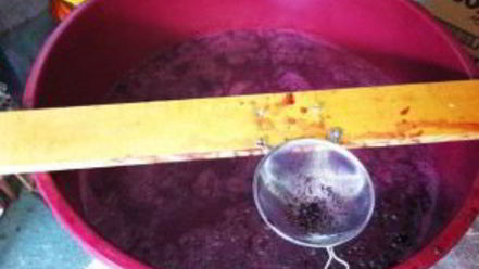 Рецепт вина из изабеллы