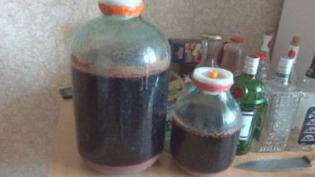 Рецепт вина из изабеллы