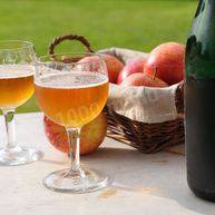 Рецепт Вина сидр