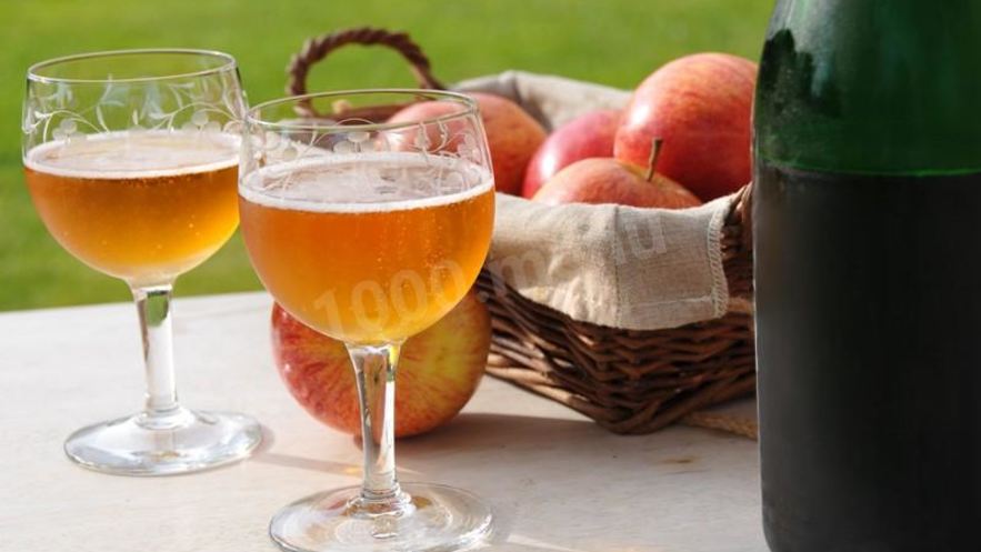 Рецепт вина сидр