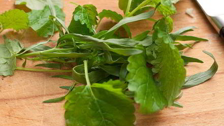 Рецепт картофельного салата с брокколи, мелиссой и тархуном