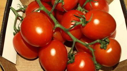 Рецепт картофельного салата с помидорами и укропом