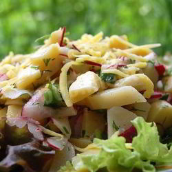 Рецепт Картофельного салата с редиской и зеленью