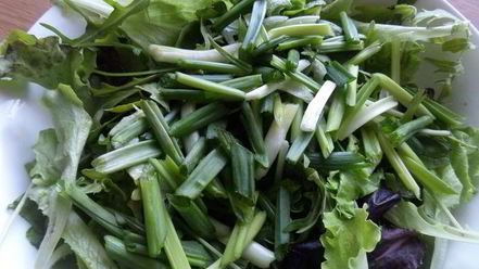 Рецепт салата из зелени с оливками