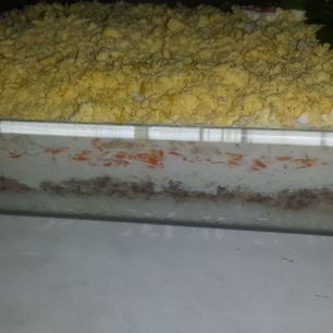 Рецепт Салата Мимоза с тунцом, рисом и картофелем