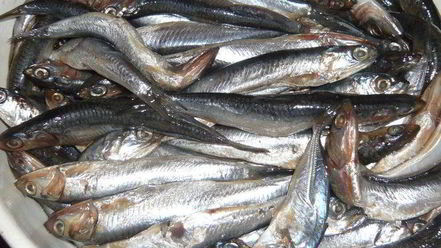 Рецепт хамсы под шубой