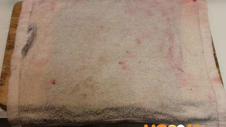 Рецепт роллов селедка под шубой