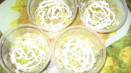 Рецепт салата сельдь под шубой