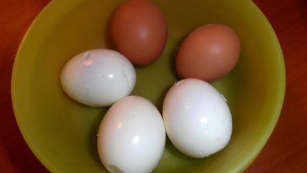 Рецепт салата сельди под шубой