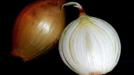 Рецепт салата сельди под шубой