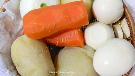 Рецепт селедки под легкой шубой с яблоком