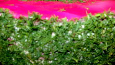 Рецепт селедки под шубой новогодняя