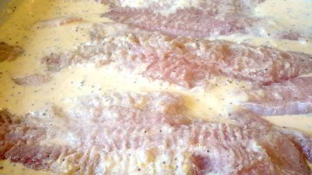 Рецепт запеченной рыбки под шубой из пармезана и хлебной крошки