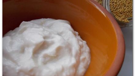 Рецепт домашнего майонеза в блендере без сырых яиц