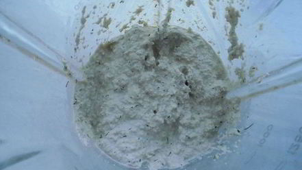 Рецепт майонеза из подсолнечных семечек