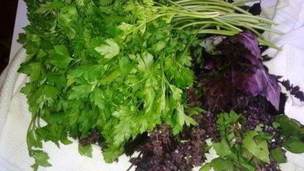 Рецепт кетчупа домашнего пряного